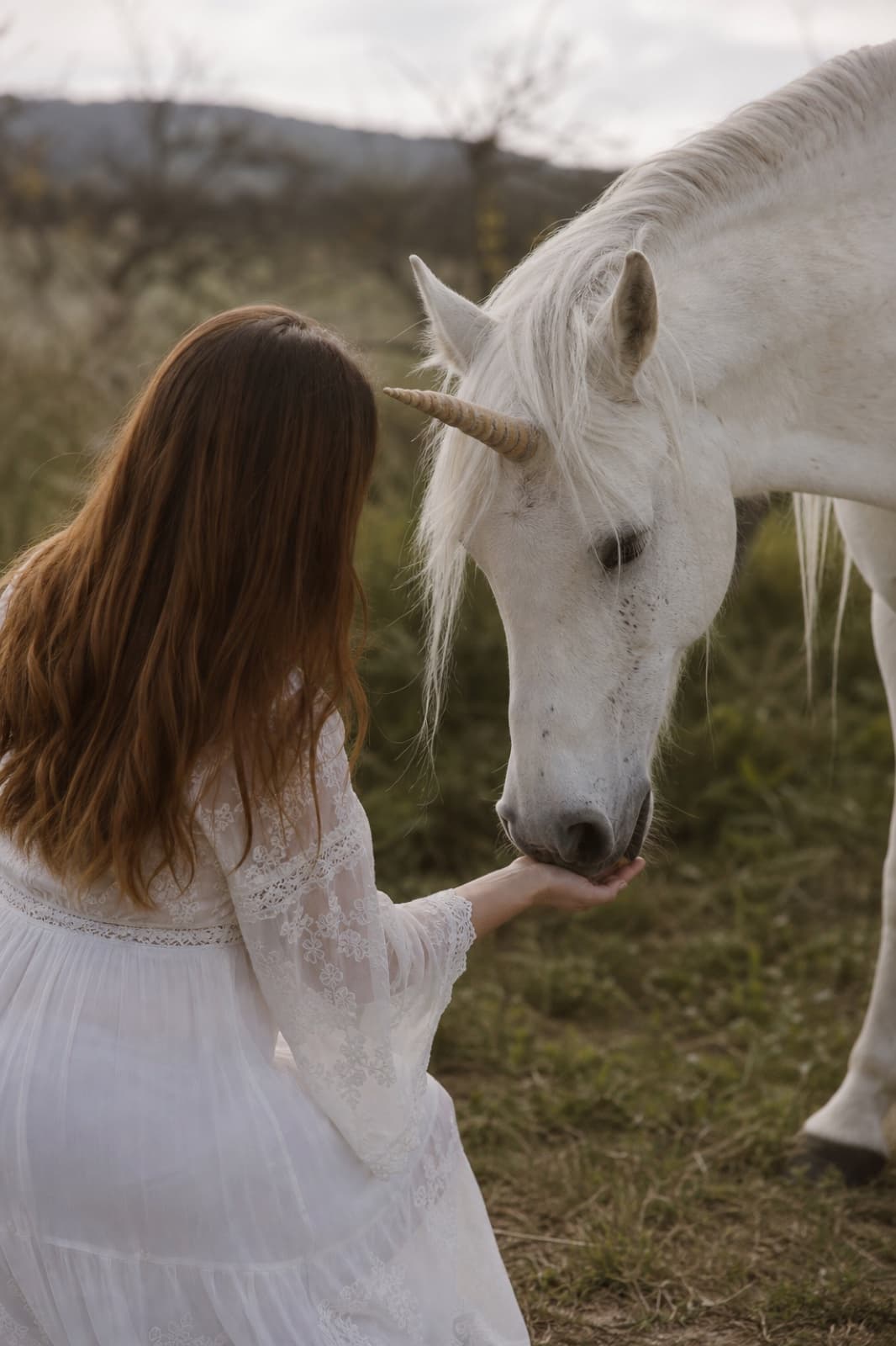 De Drukke Doener — Your Unicorn Way