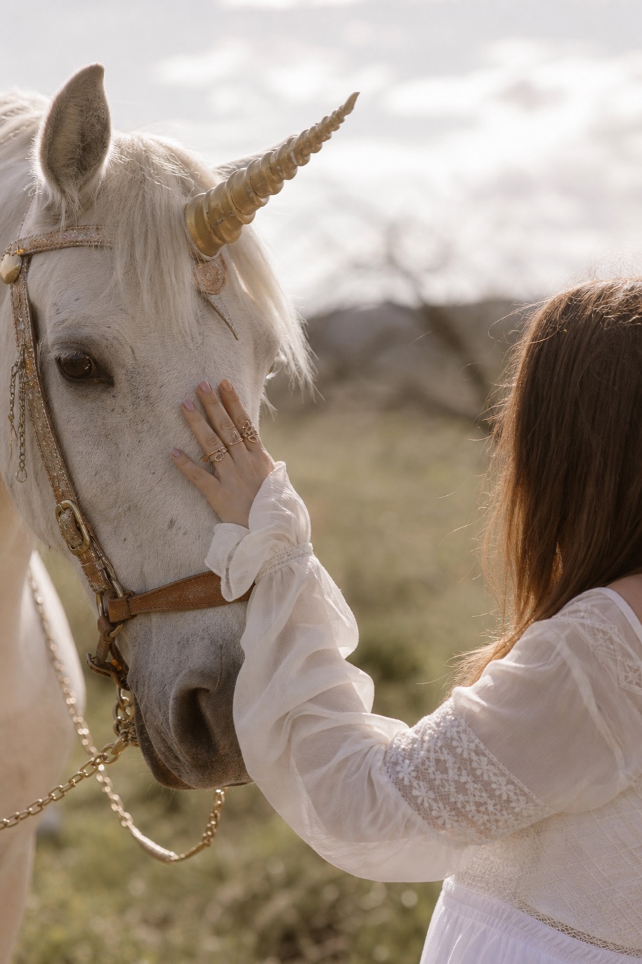 Your Unicorn Way